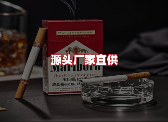 专业团队